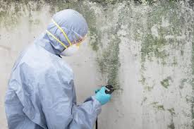 Best Mold Removal for HVAC Installations  in Chatham, IL